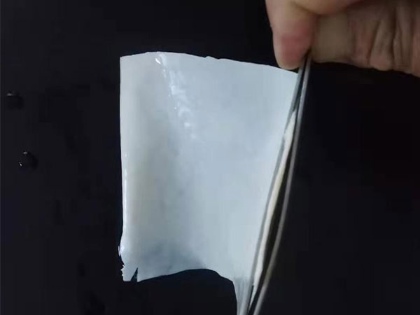 牛心包膜猪心包膜切割 生物瓣膜猪心包和牛心包