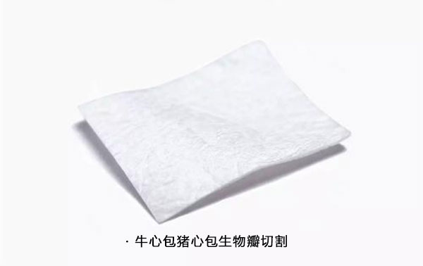 牛心包膜猪心包膜切割 生物瓣膜猪心包和牛心包