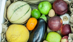 激光打标“可食用标签”，引领食品安全新风向