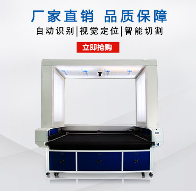 大视觉定位切割机